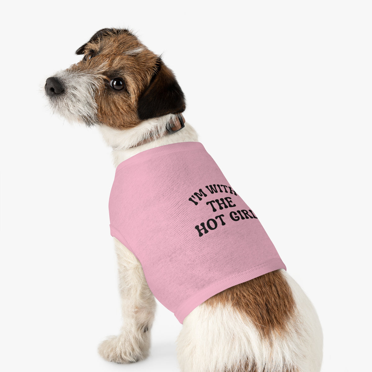 Pet Tank Top - "I’m With The Hot Girl" Cute Gray Dog Tank